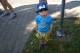 420_dsc08483.jpg