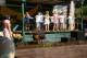 866_dsc08564.jpg